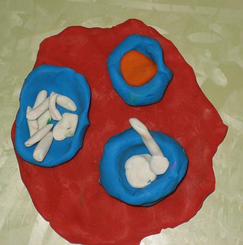 plastilina 058